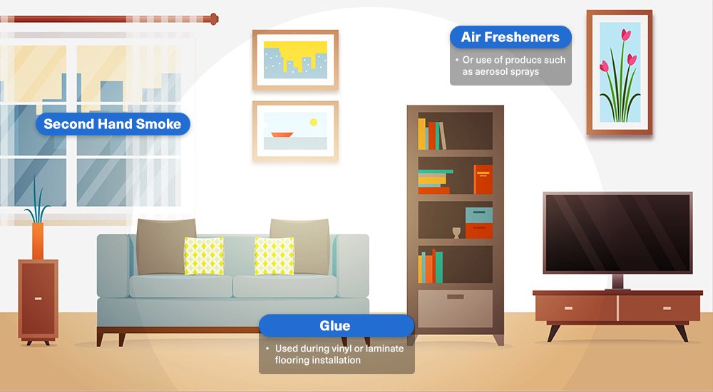 Sources of Formaldehyde in Homes - Living Room