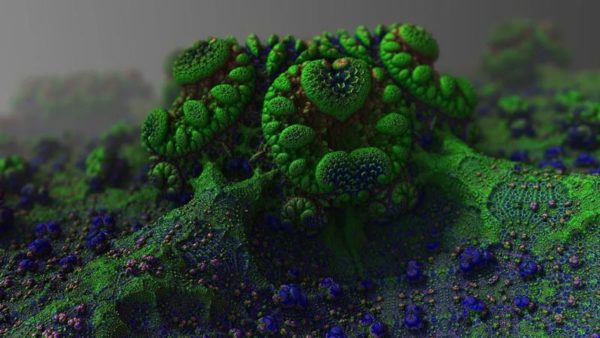 Watch a Fungus Firing its Spores