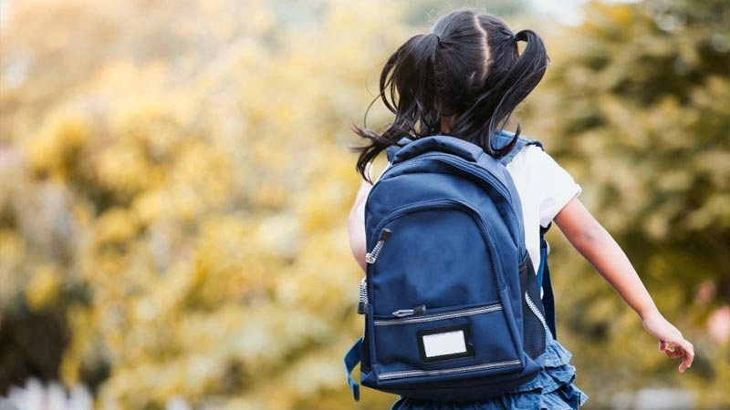 What are the Causes and Health Effects of Mold in Schools?